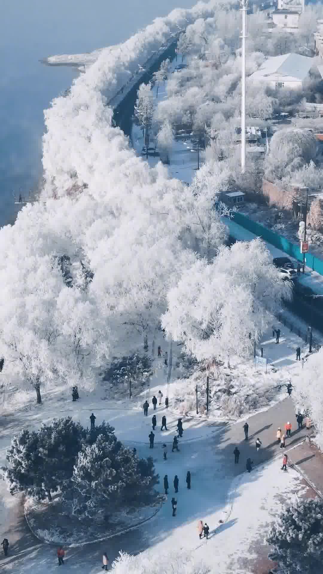 梦想之土,吉林成长乐章