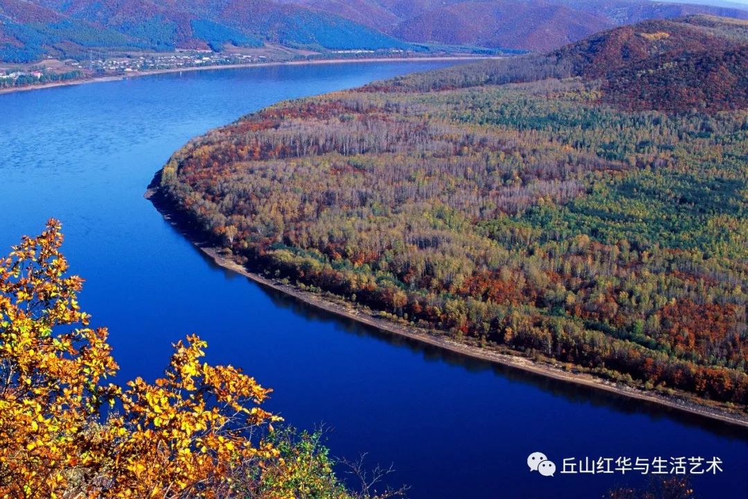 黑龙江，生态宝库与经济新引擎的融合之地