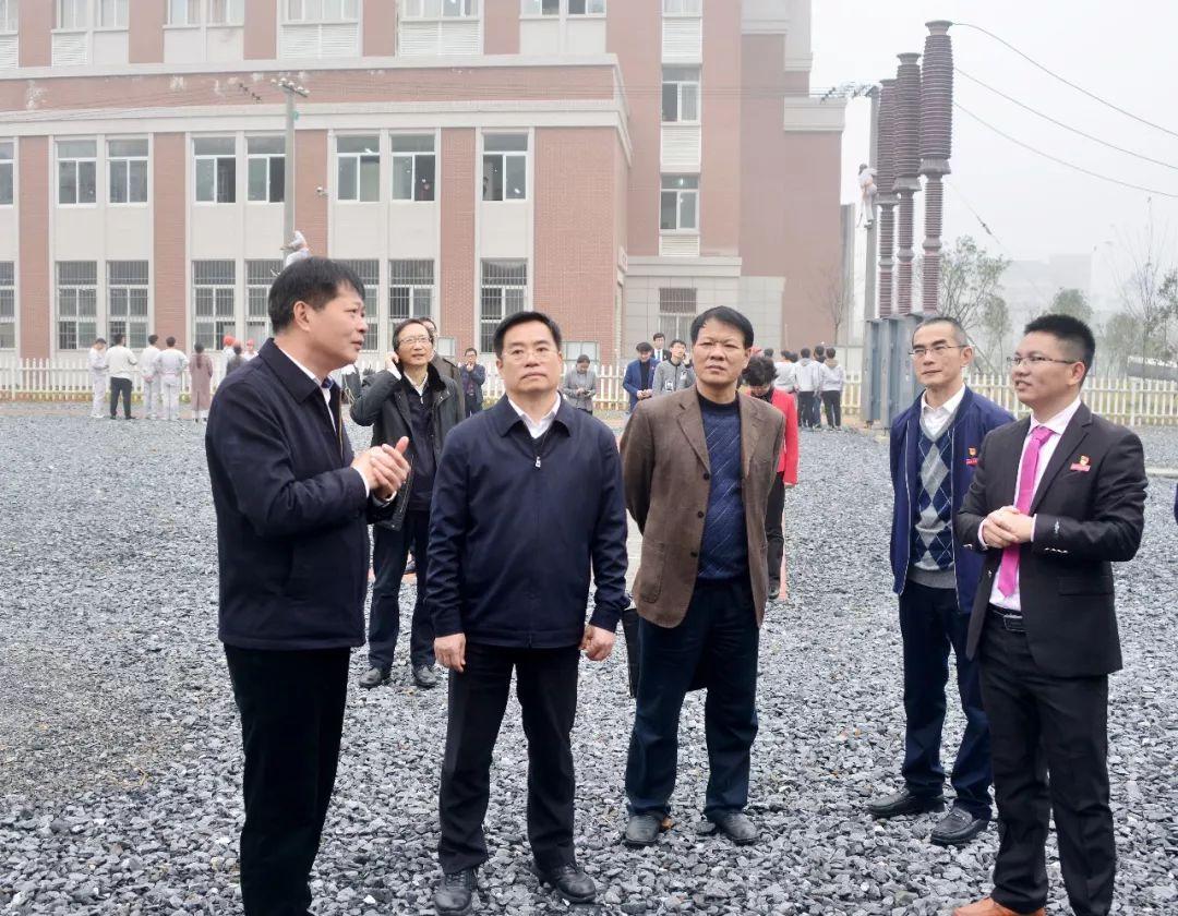 福建古巷茶香探秘之旅