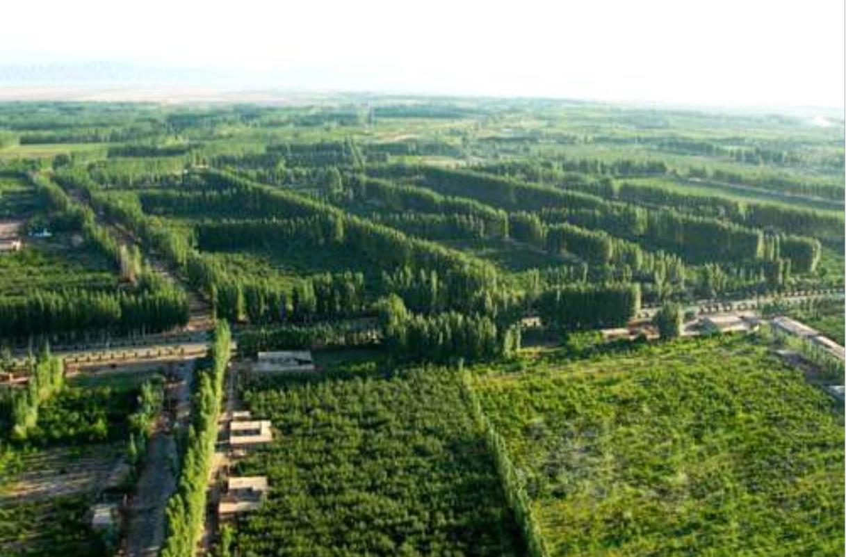 新疆,梦想疆域,自信舞台的璀璨之地